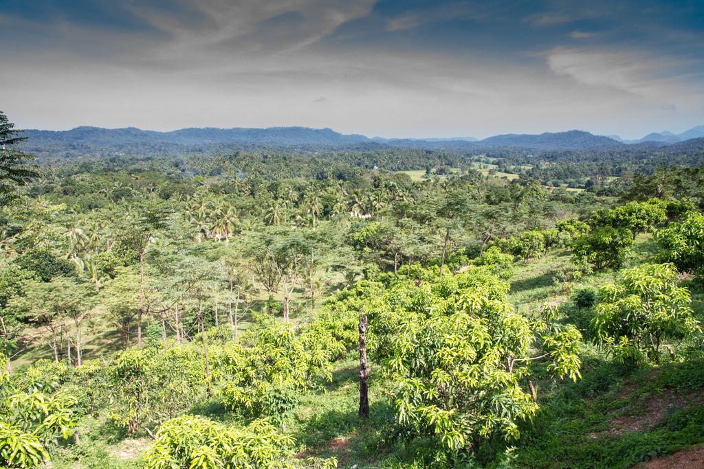 Jim'S Farm Villas Madawala Bagian luar foto
